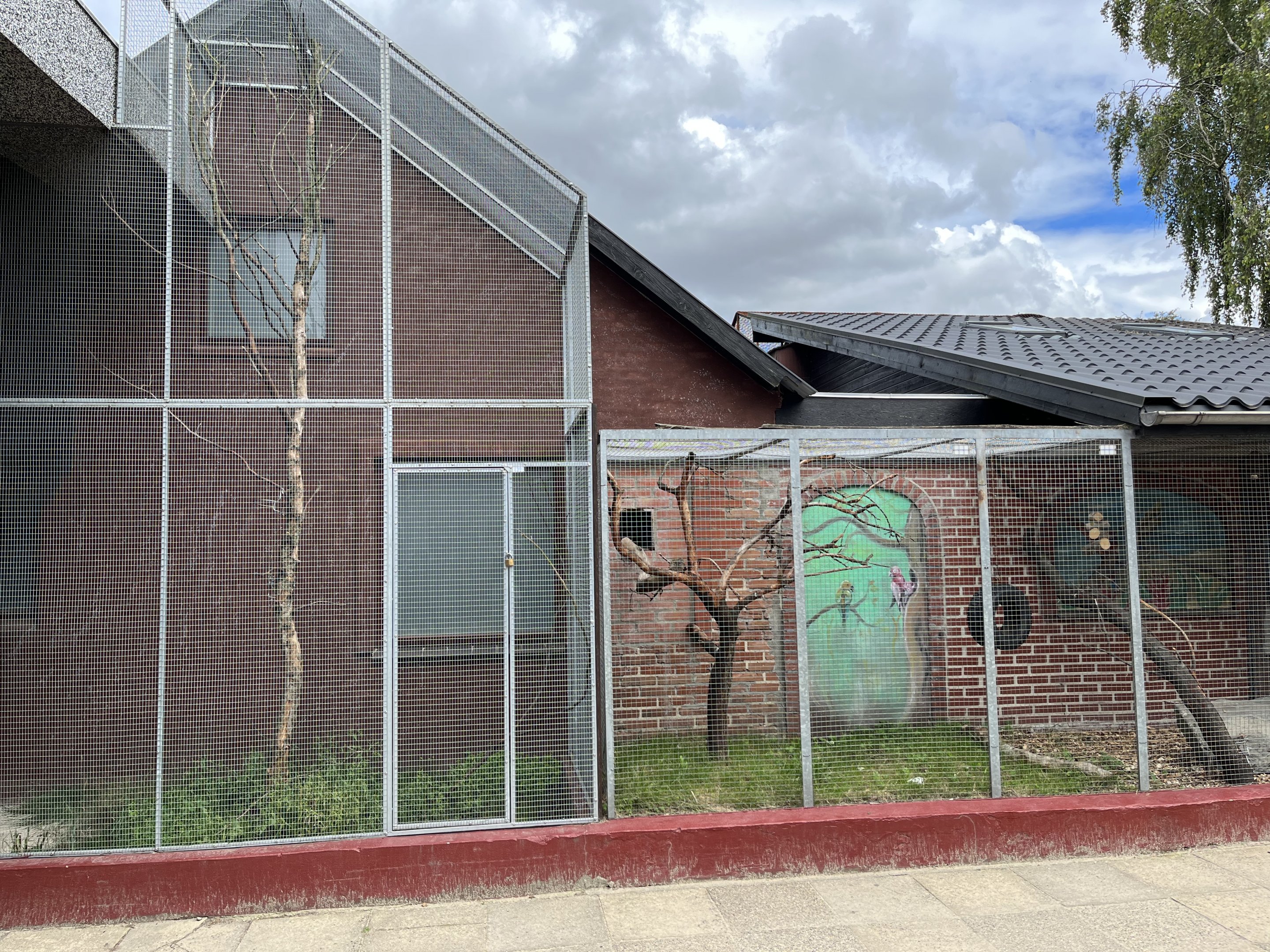 Goeldi’s Monkey Exhibit