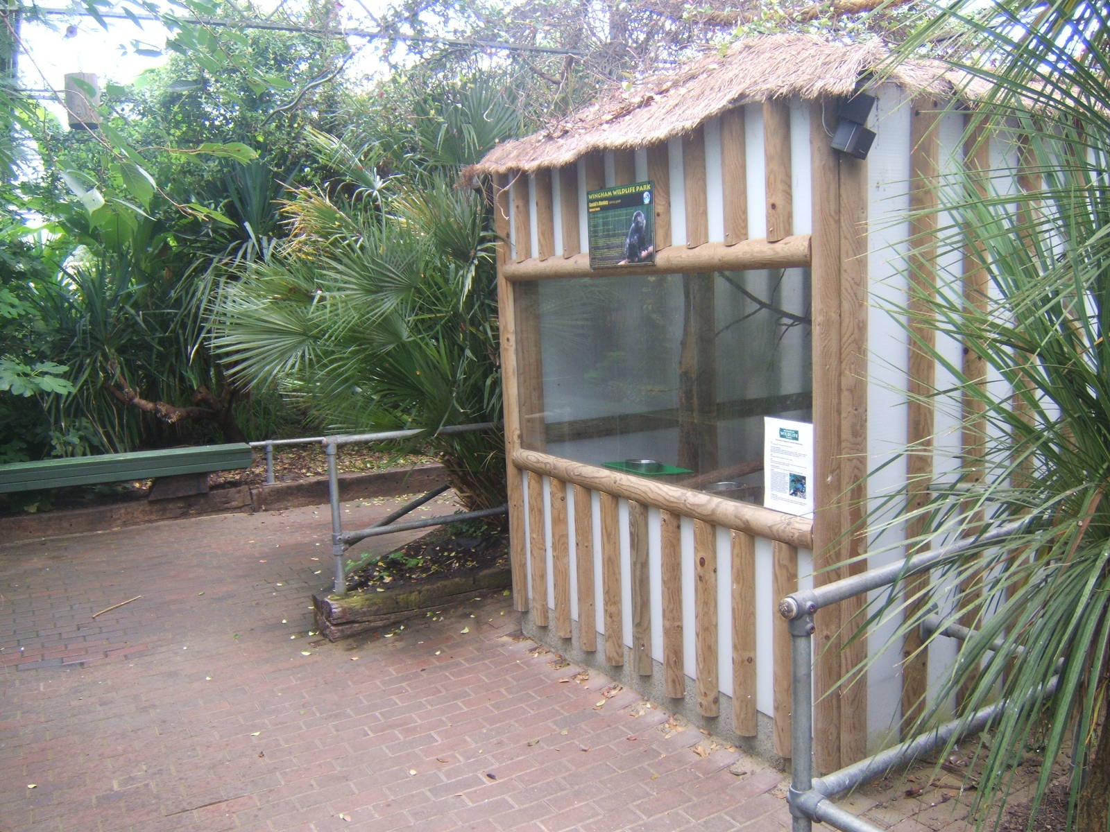 Goeldis Monkey House inside the Tropical House