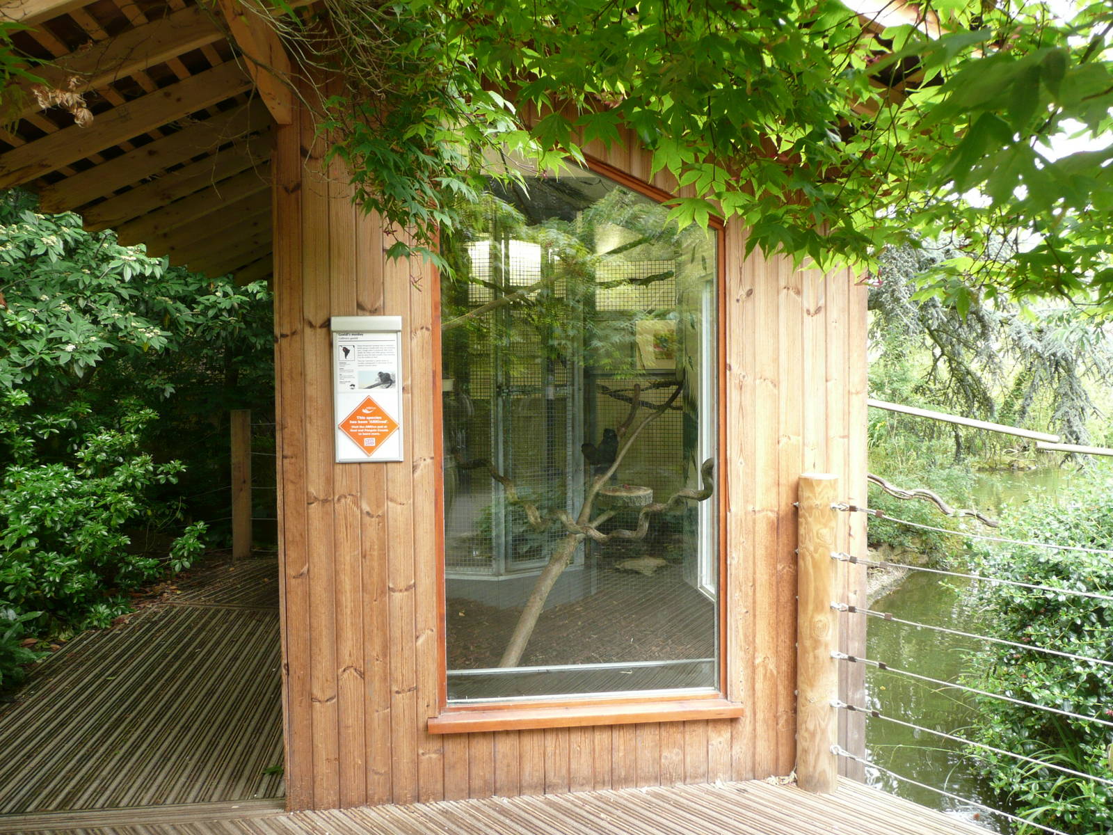 Goeldi's Monkey Housing