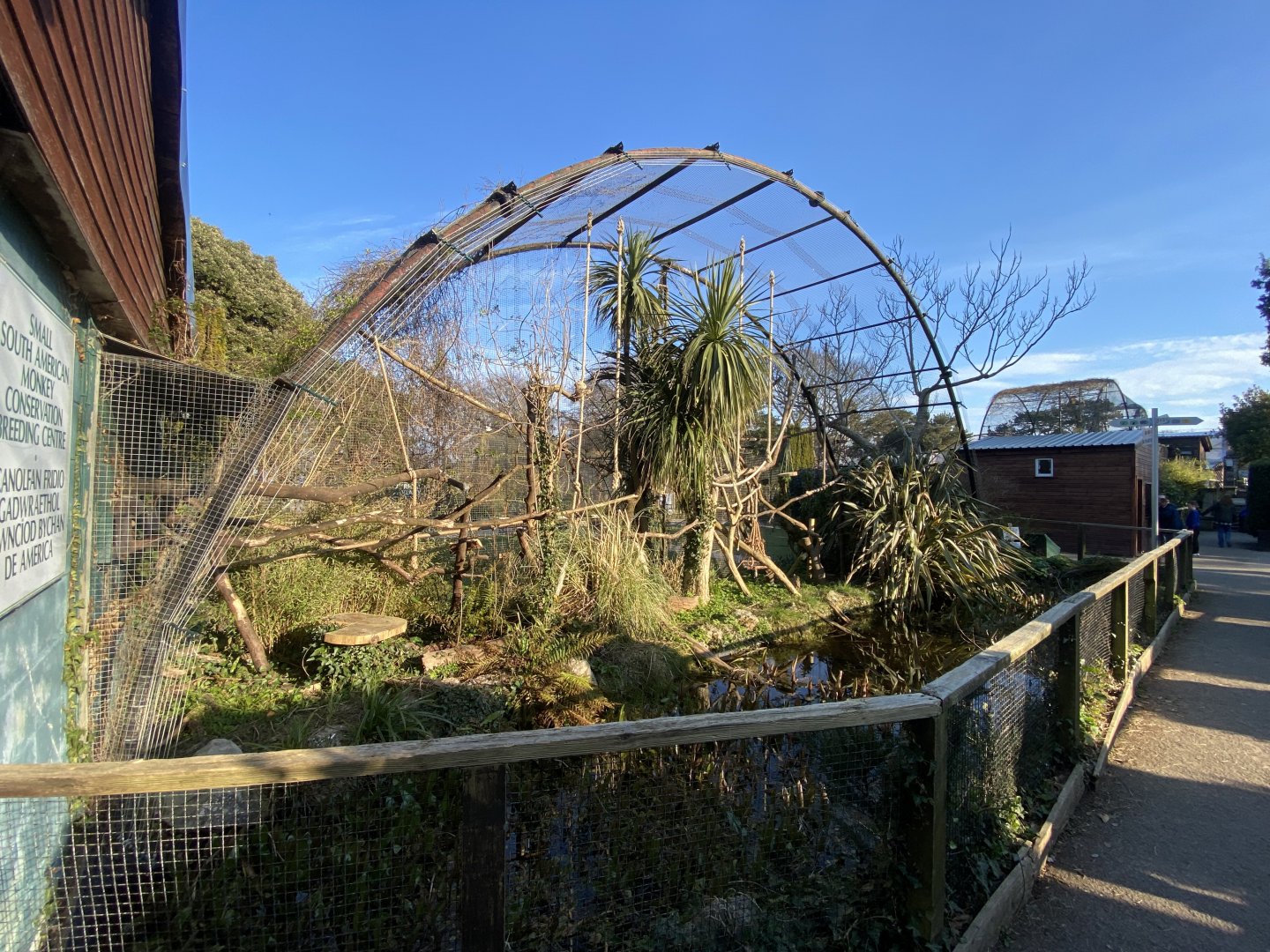 Goeldi’s monkey open fronted enclosure 190325