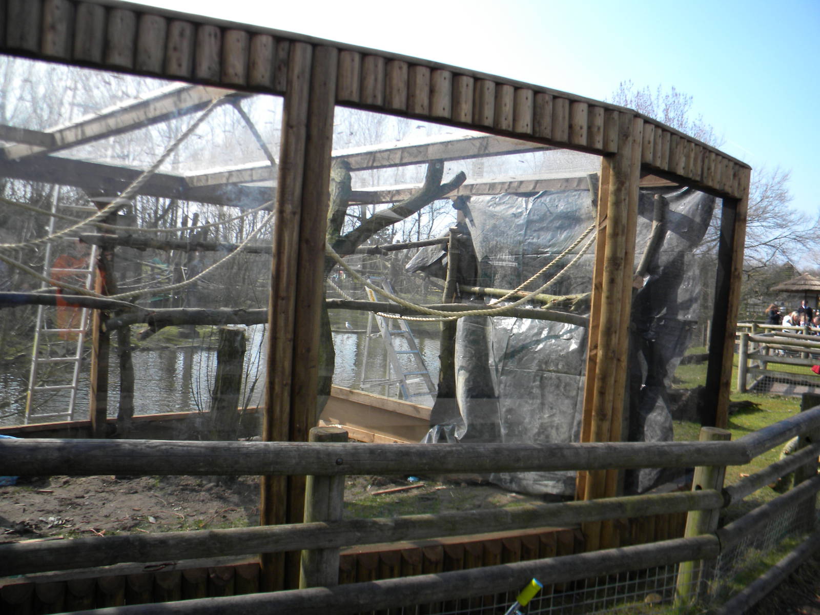 Goeldi's Monkey outdoor enclosure construction at Blackpool Zoo 27th March