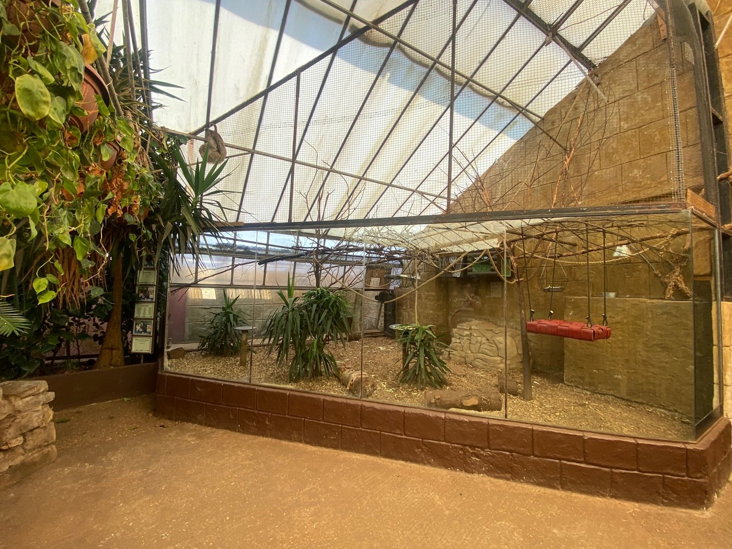 Goeldi’s monkey, White-faced saki and Linnaeus’ two-toed sloth enclosure 140923