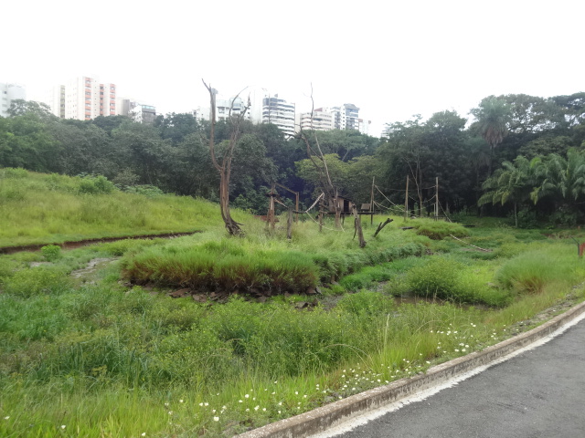 Goiânia zoo - abandoned island enclosures