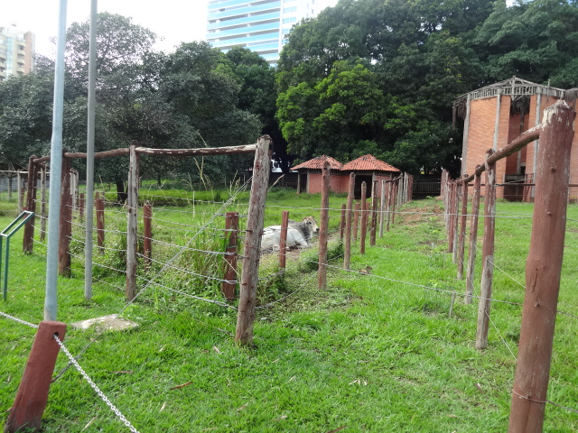 Goiânia zoo - former (and abandoned) giraffe and zebra exhibits