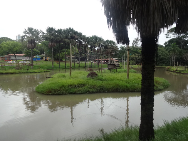 Goiânia zoo - hamadryas baboon island