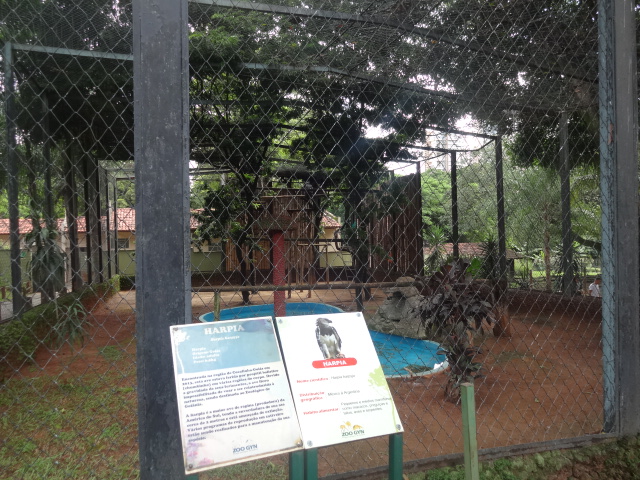 Goiânia zoo - harpy-eagle aviary
