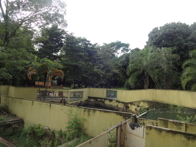 Goiânia zoo - otter exhibit