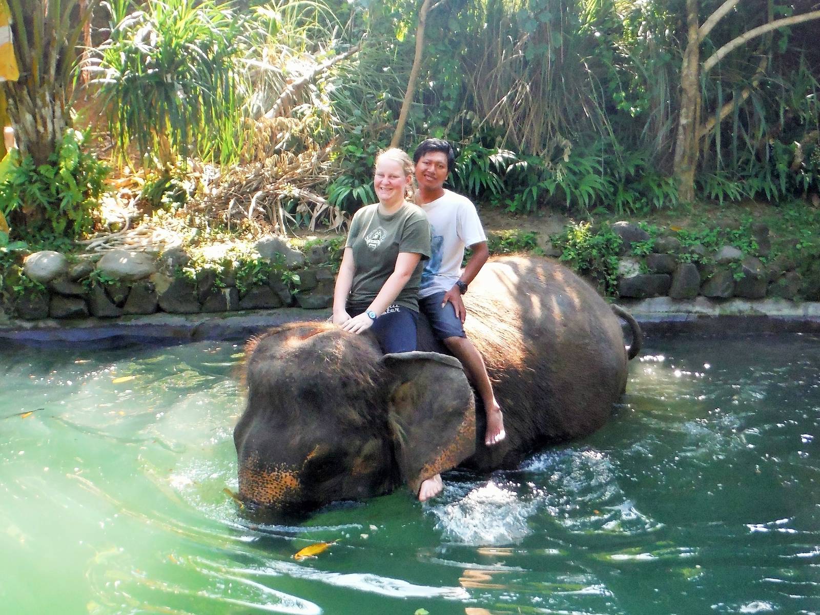 Going for a swim - Bali Zoo 2015