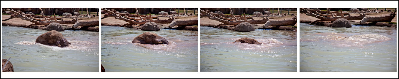 going, going, gone...