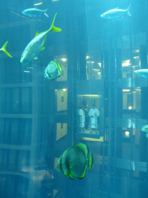 Going swimming in the Aqua Dome