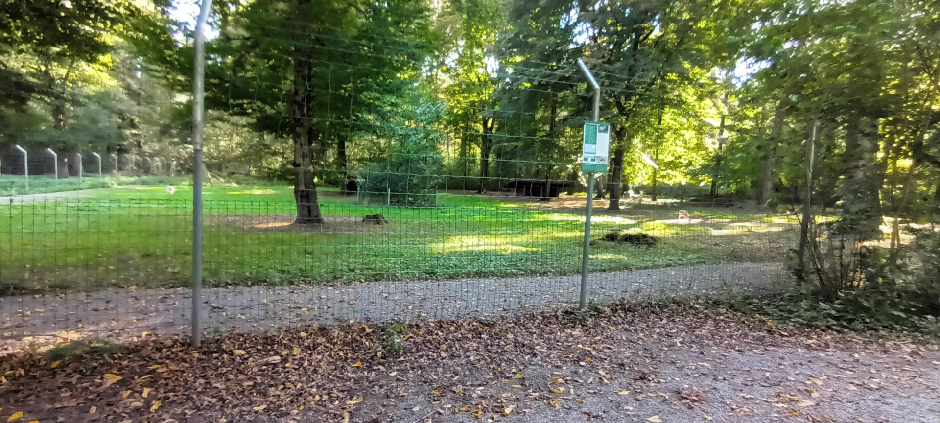 Goitered Gazelle Enclosure