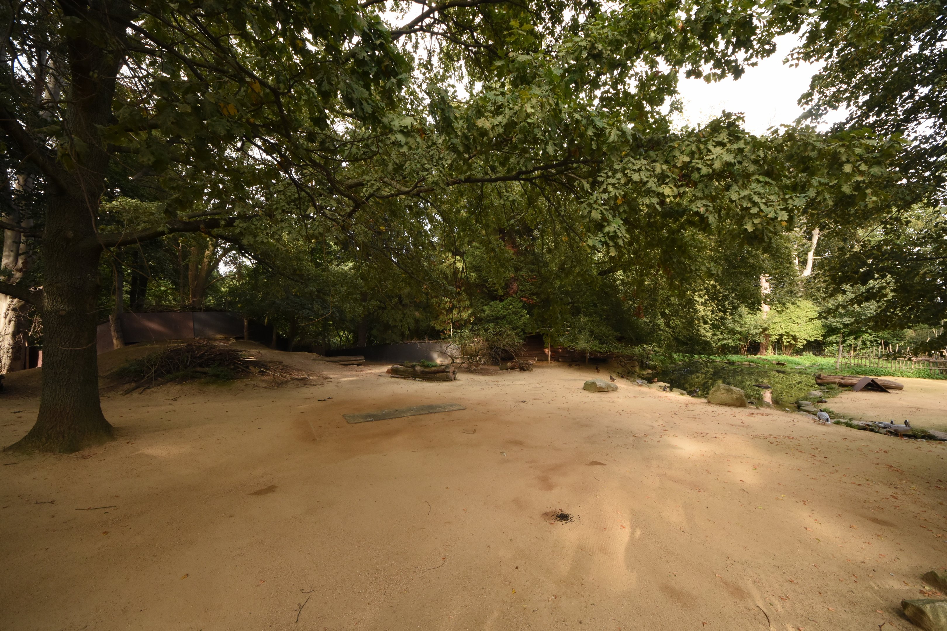 Goitred gazelle enclosure