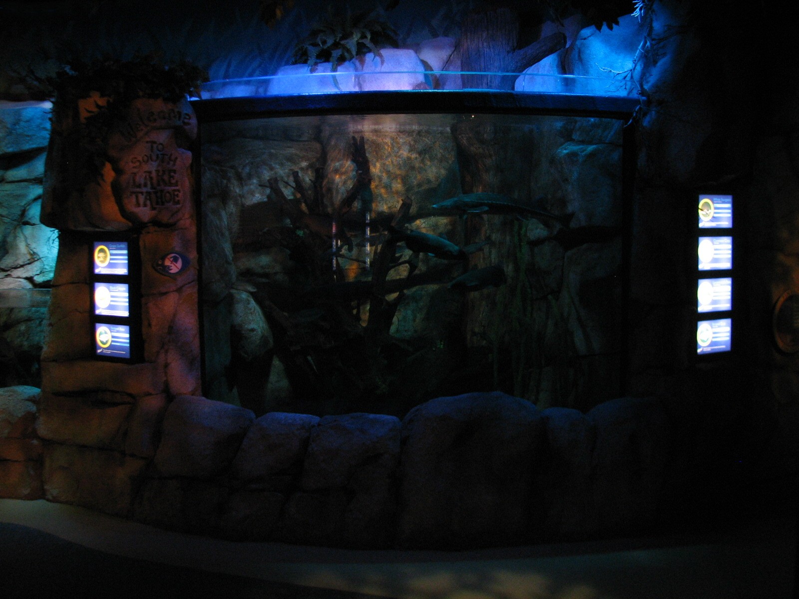 Gold Rush River - Lake Exhibit