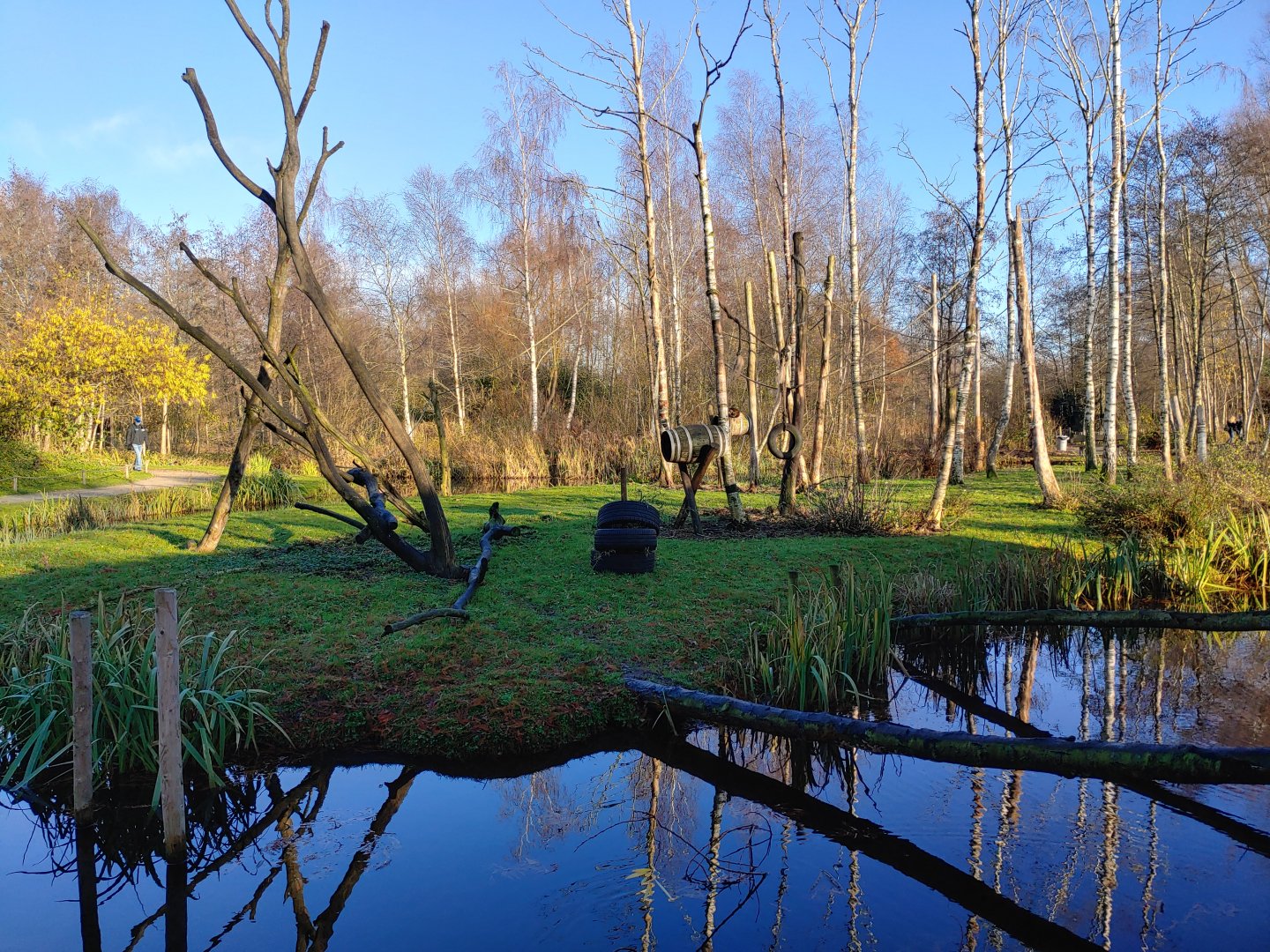 Golden-bellied capuchin enclosure 1