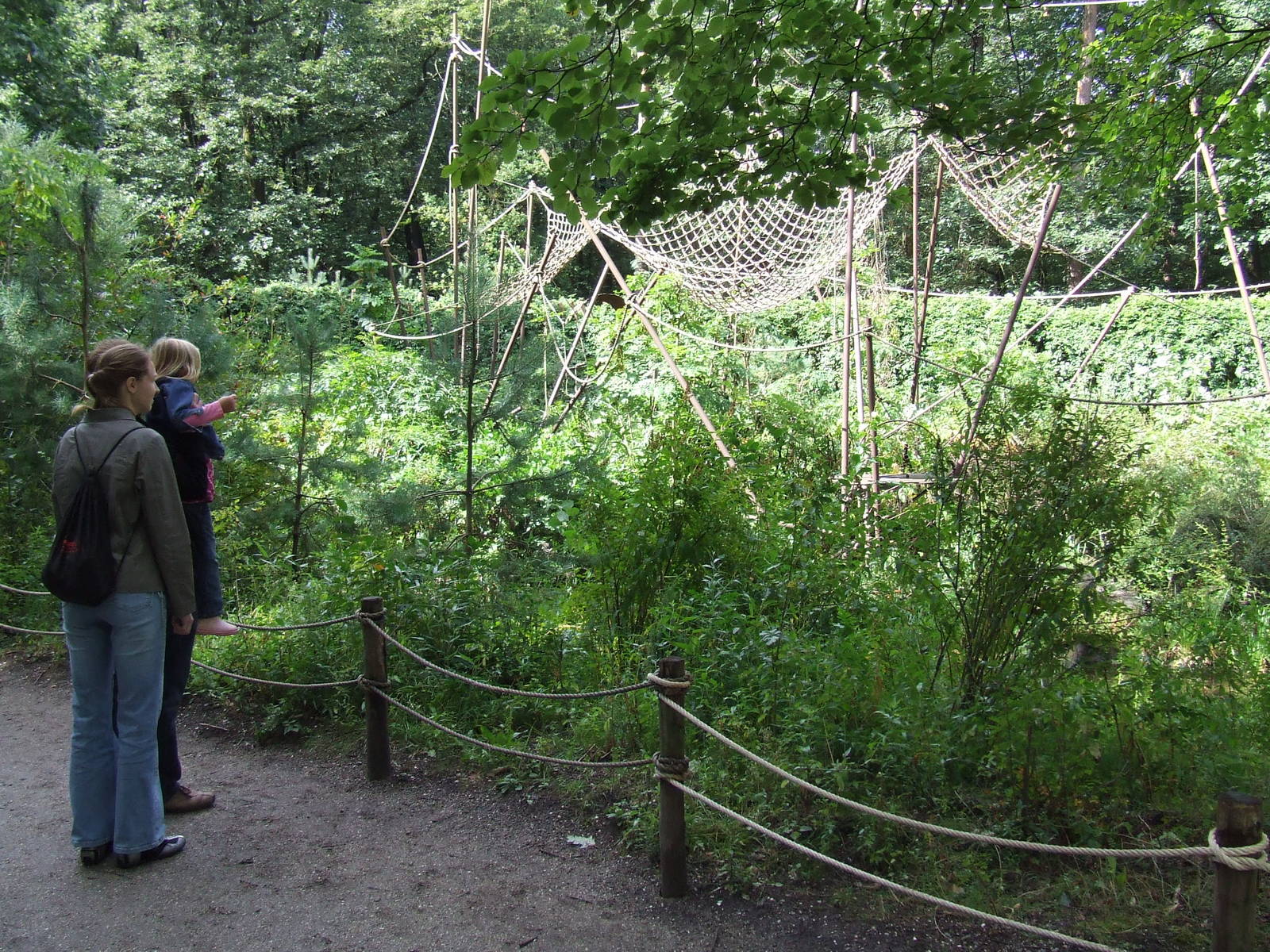 Golden-bellied Capuchin island