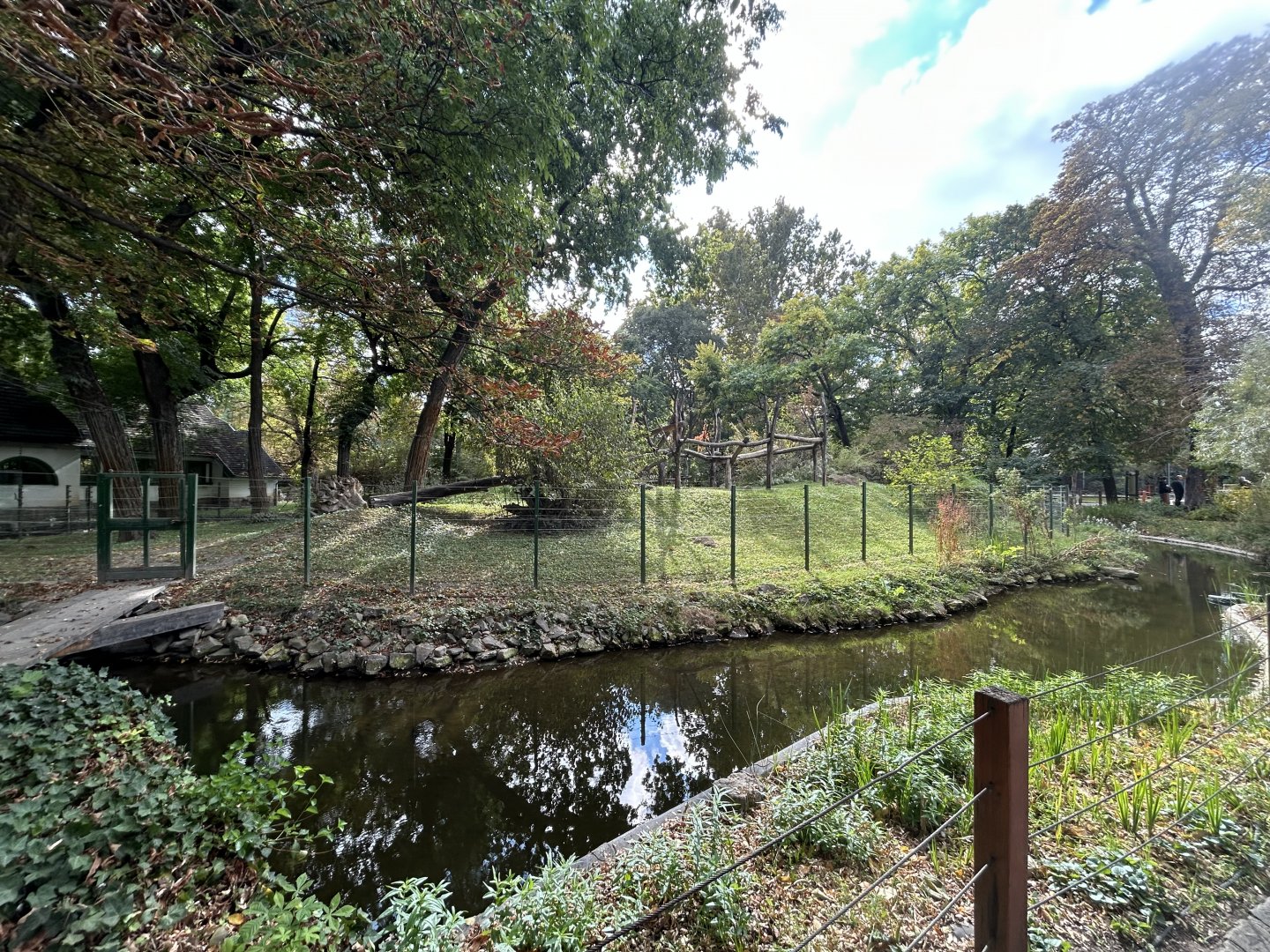 Golden-bellied Mangabey Exhibit - Madagascar House