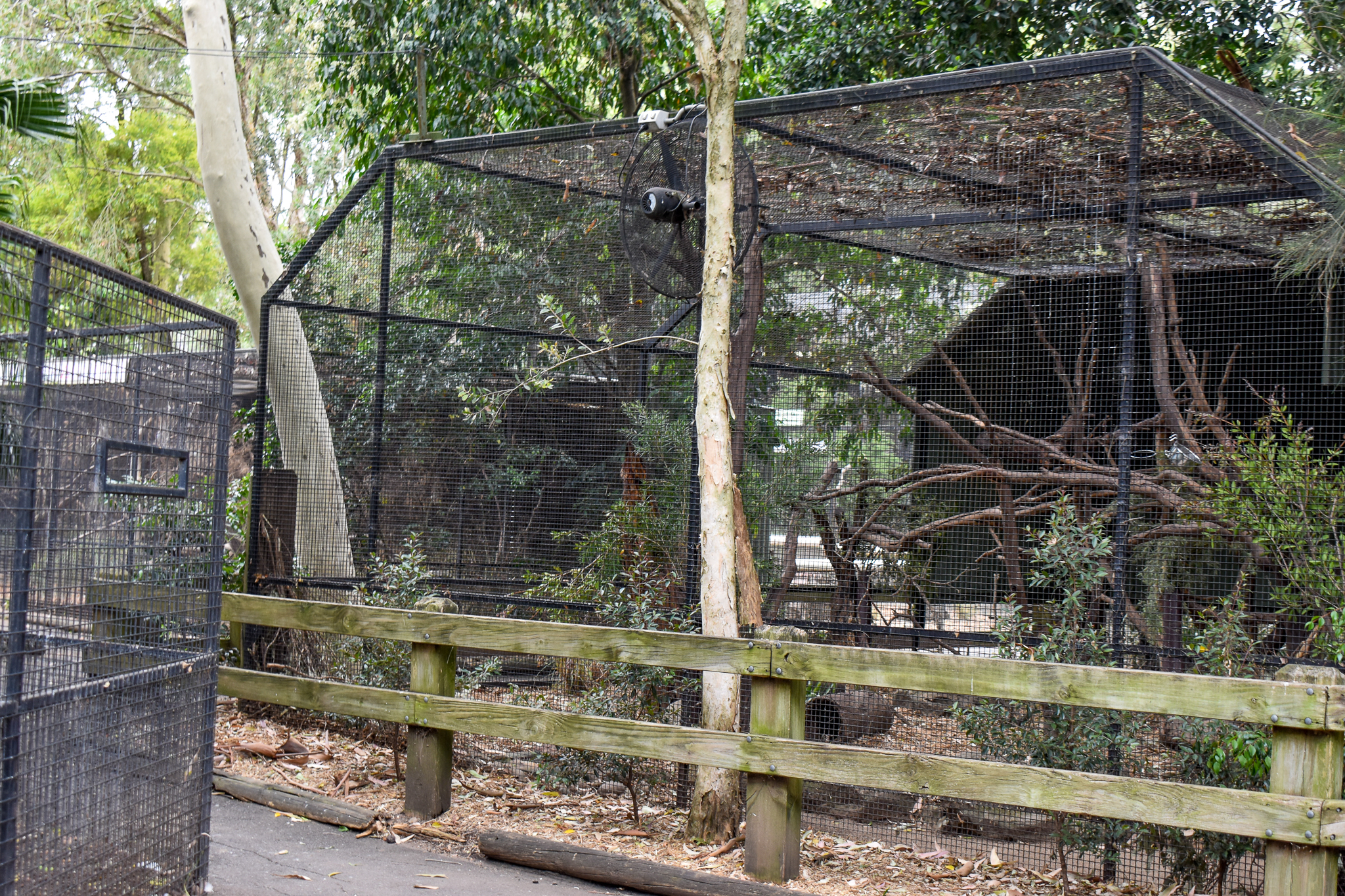 Golden Brushtail Possum/Potoroo Enclosure