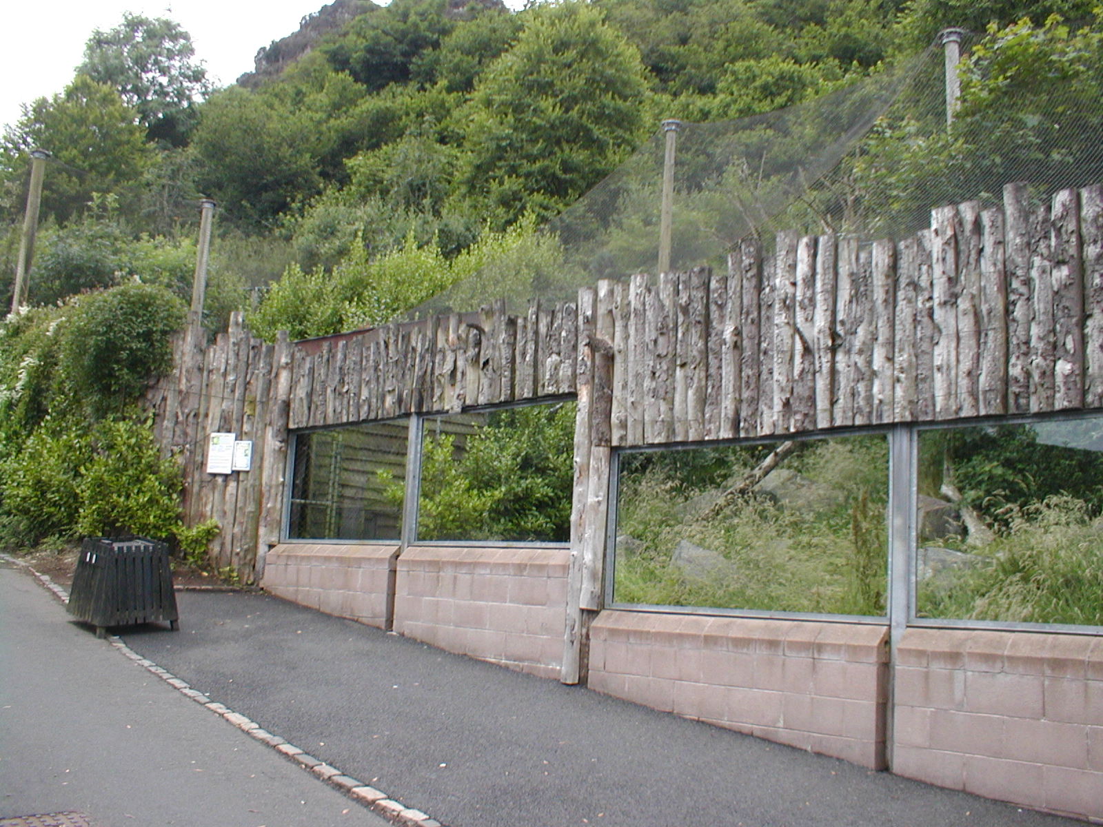 Golden cat enclosure - Belfast