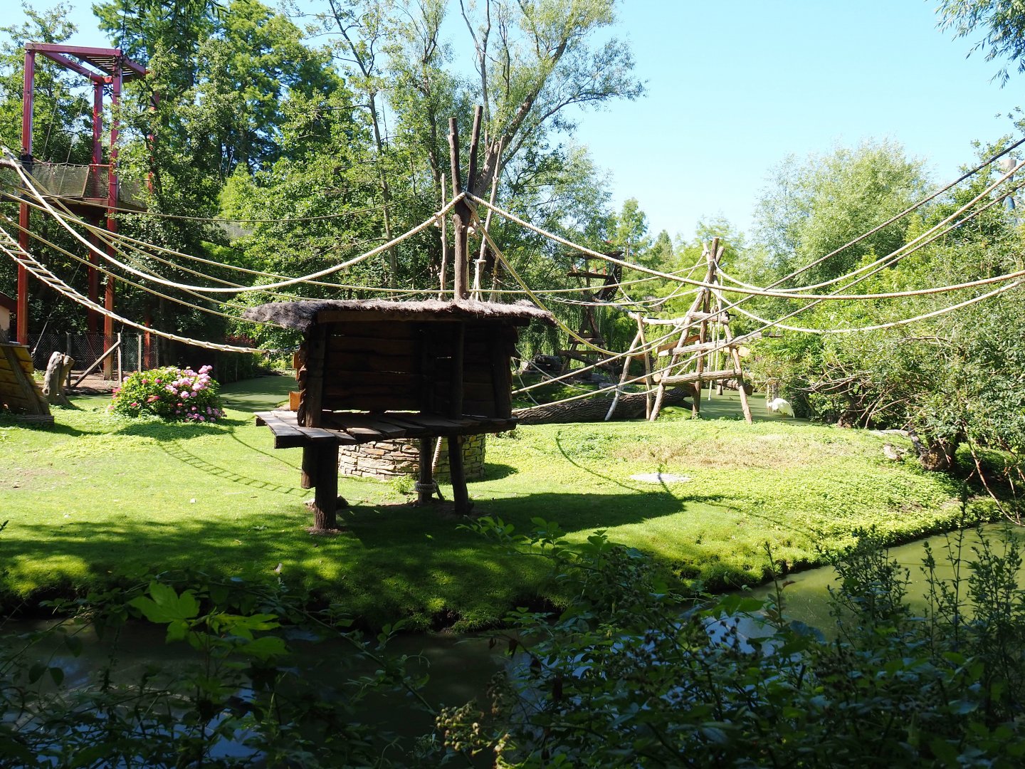 Golden-cheeked gibbon, Central Chinese goral and Siberian crane exhibit, 2022-06-28