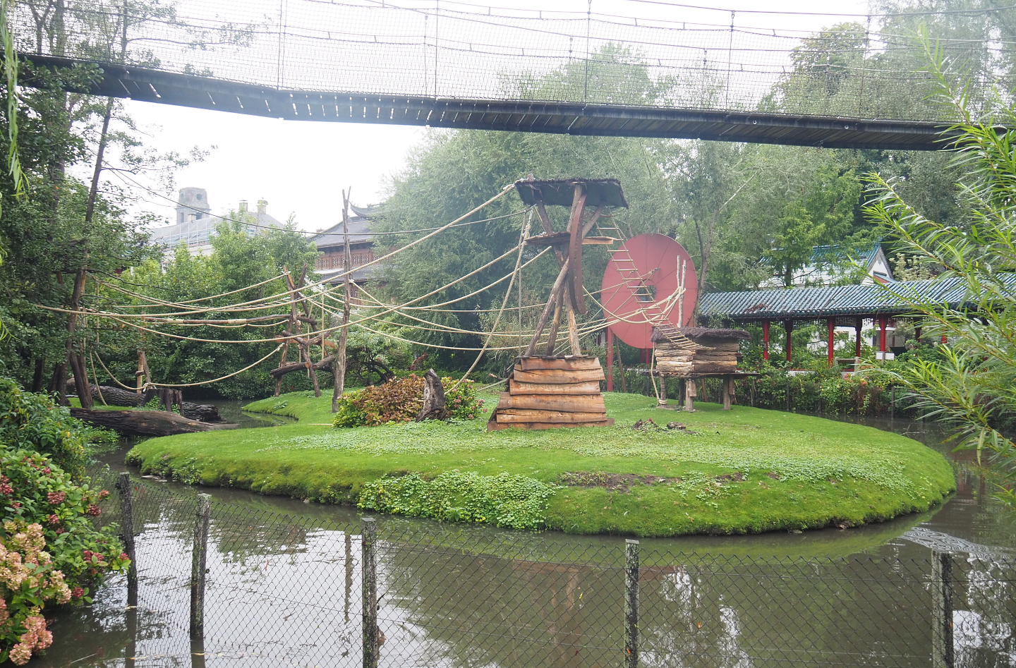 Golden-cheeked gibbon, Central Chinese goral and Siberian crane exhibit, 2022-09-14