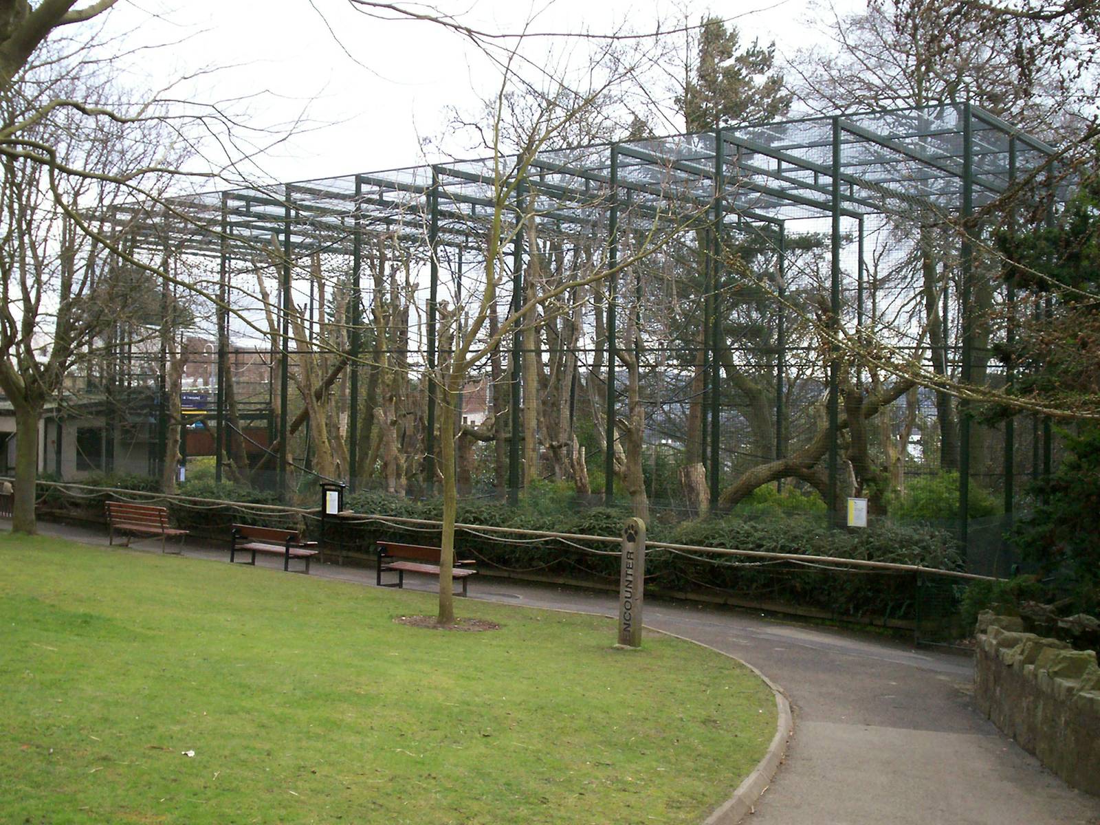 Golden cheeked gibbon enclosure at Edinburgh zoo