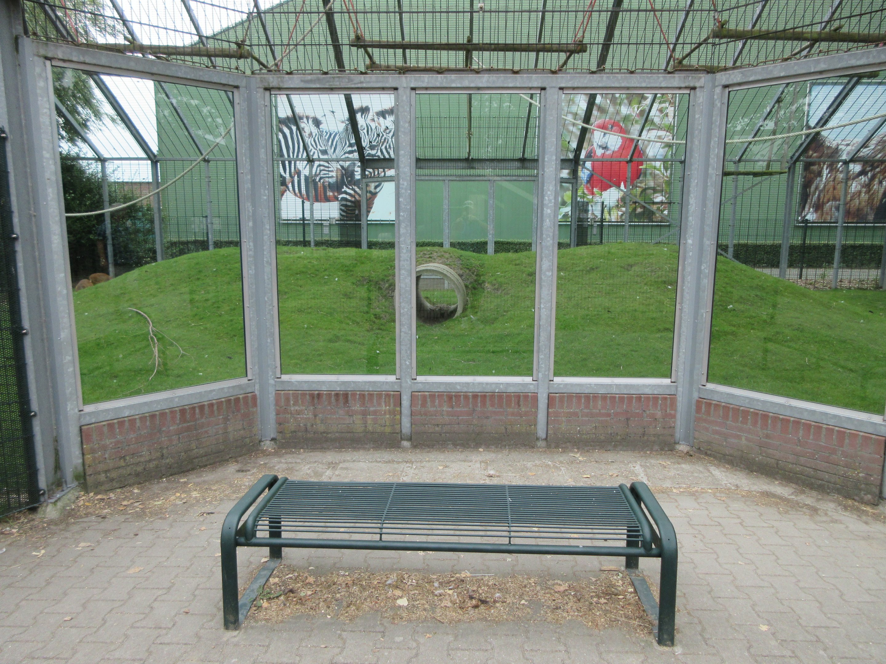 Golden-cheeked Gibbon Exhibit