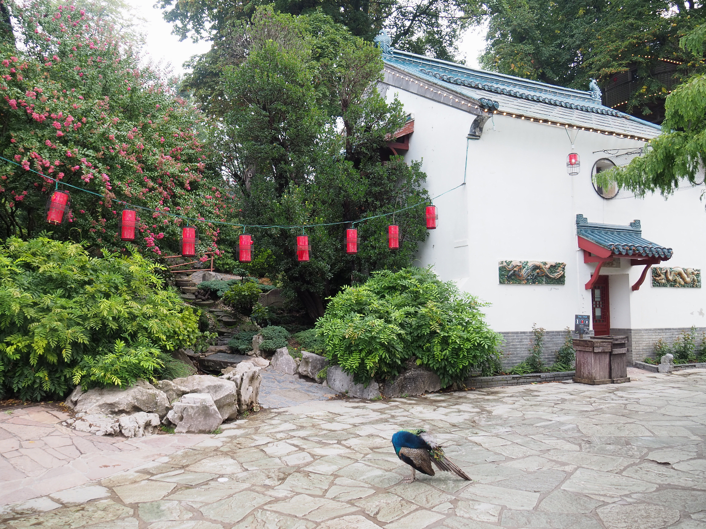 Golden-cheeked gibbon house and gardens with walkway to upper level of The Middle Kingdom, 2022-09-15