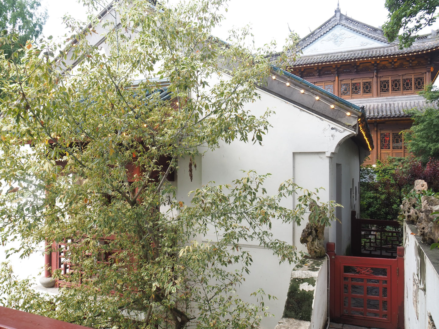 Golden-cheeked gibbon house and part of Chinese restaurant, 2022-09-15