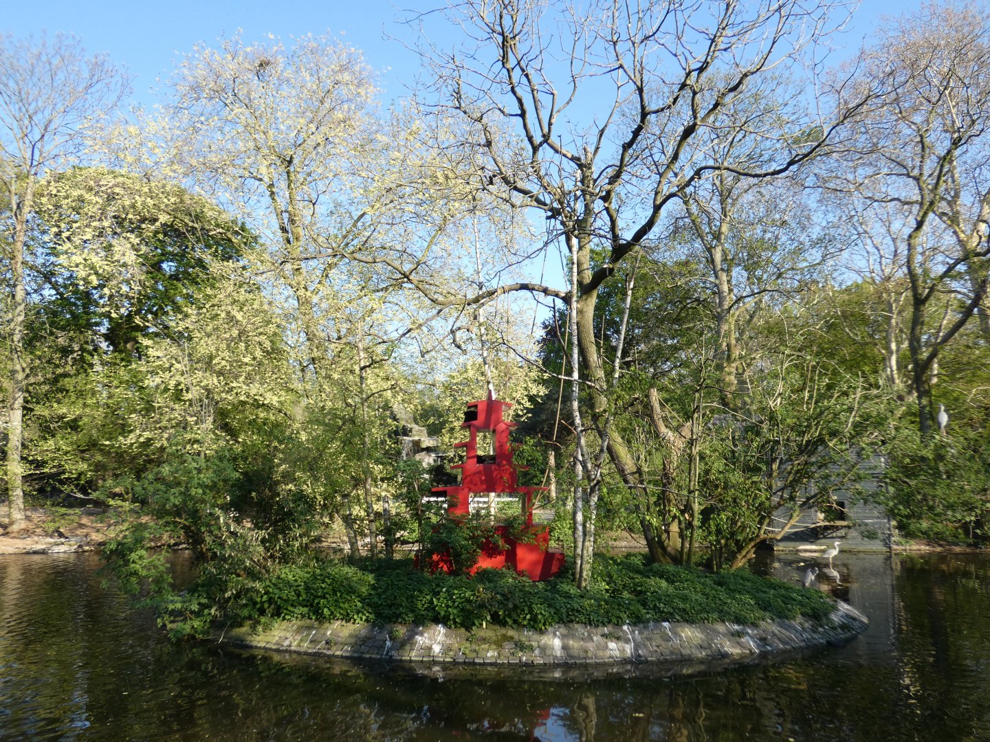 Golden-cheeked Gibbon island
