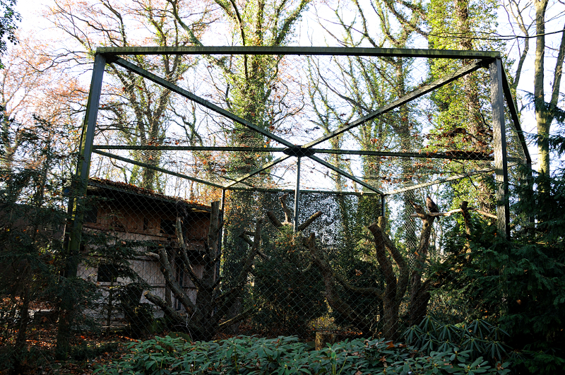 Golden eagle aviary at Dortmund