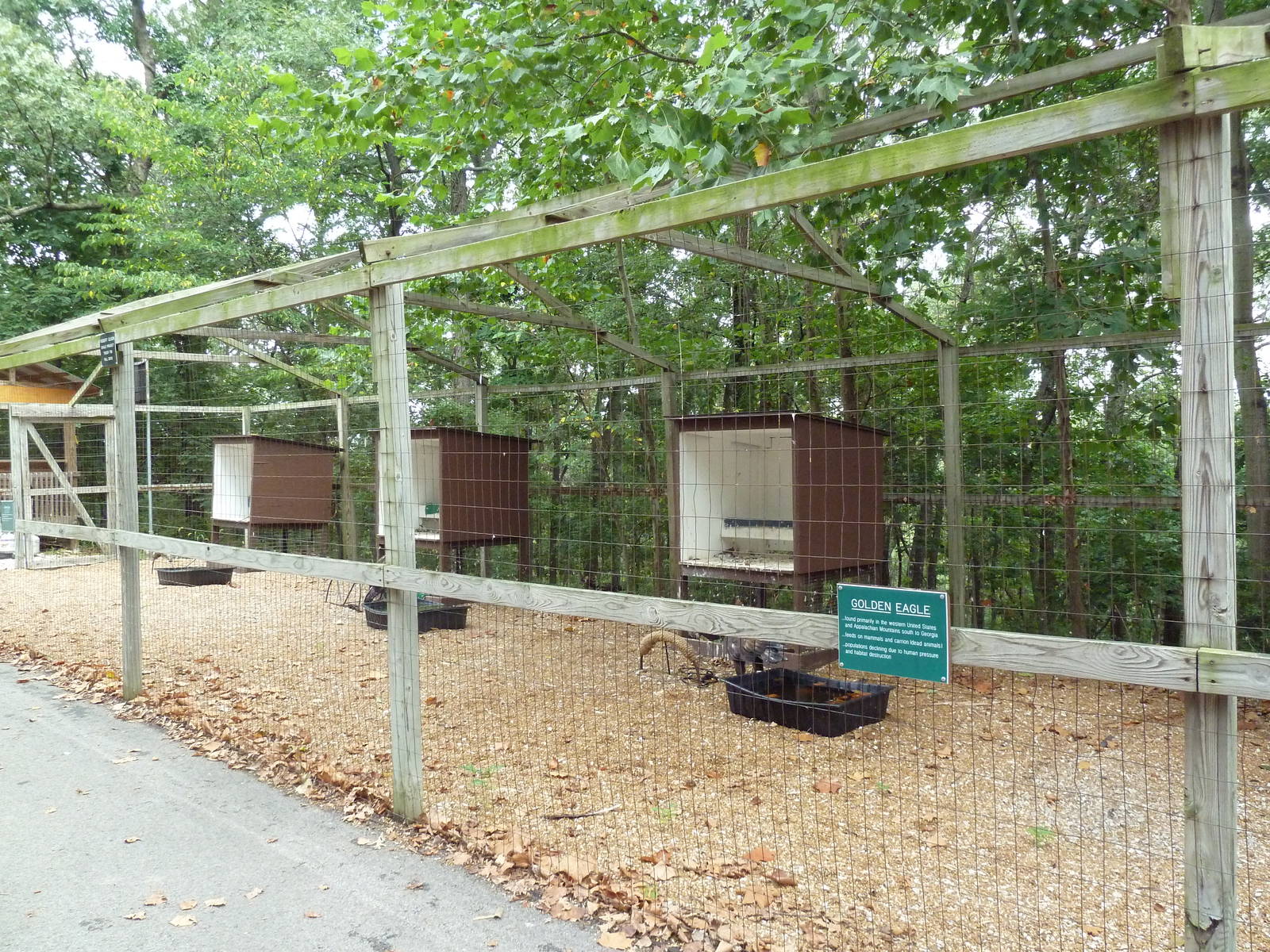 Golden Eagle Aviary
