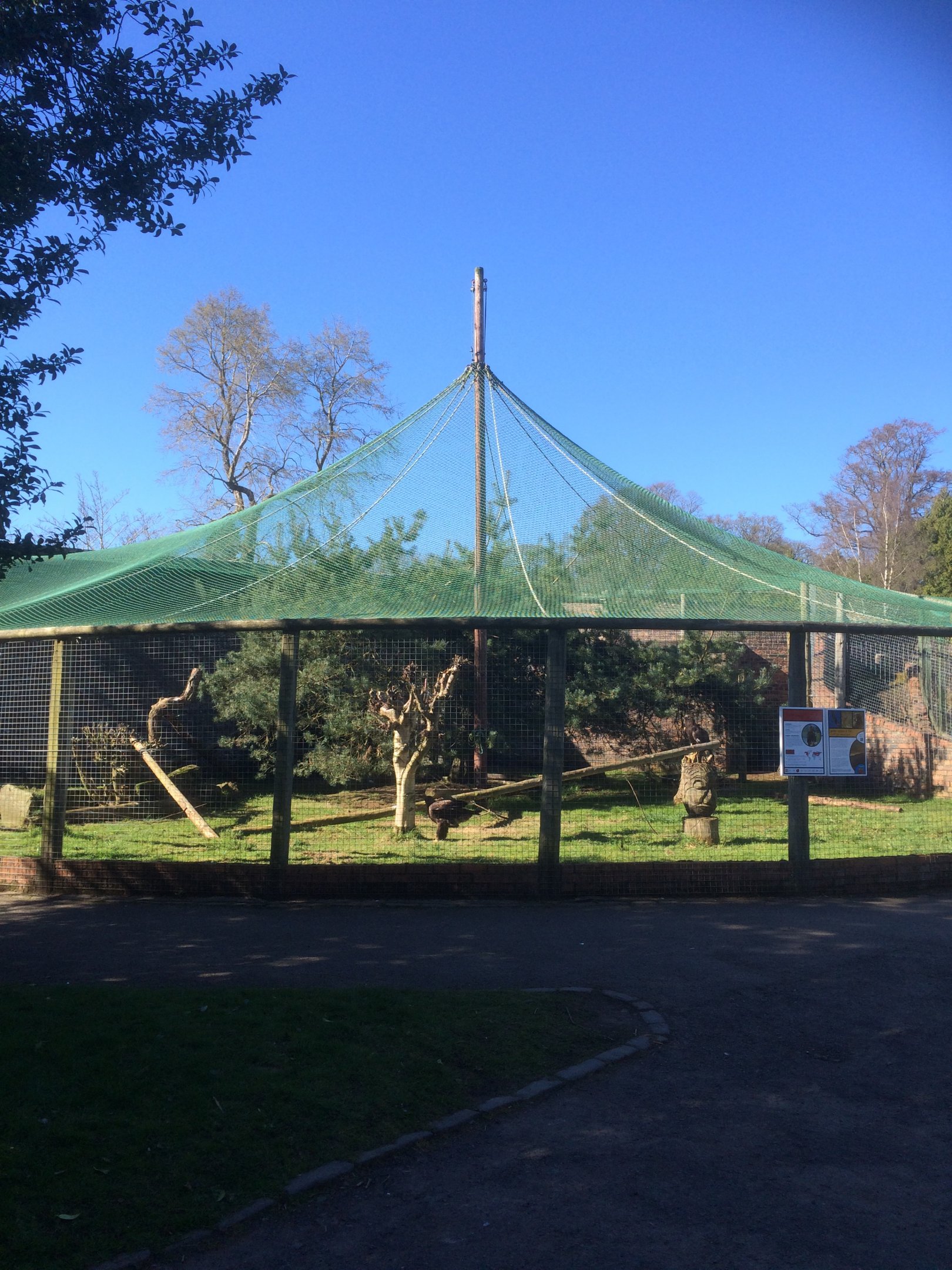 Golden eagle aviary