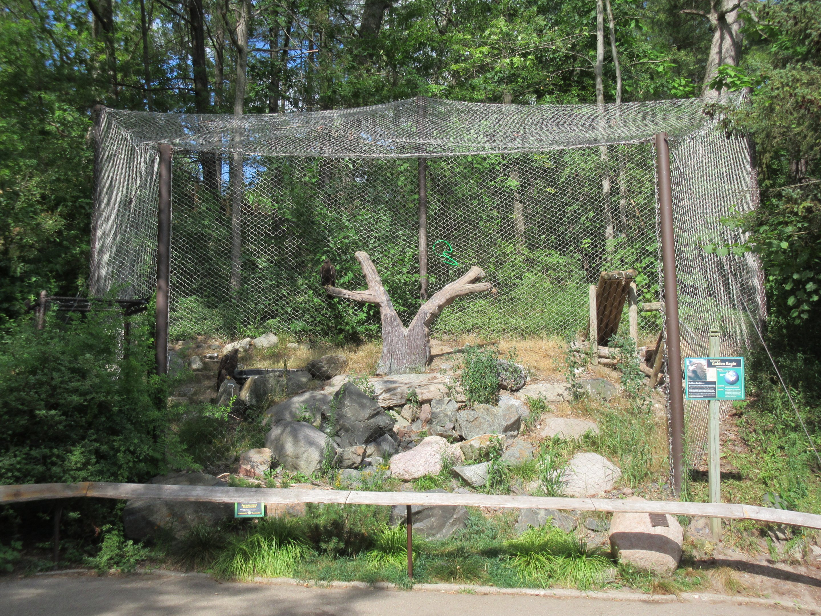 Golden Eagle Aviary