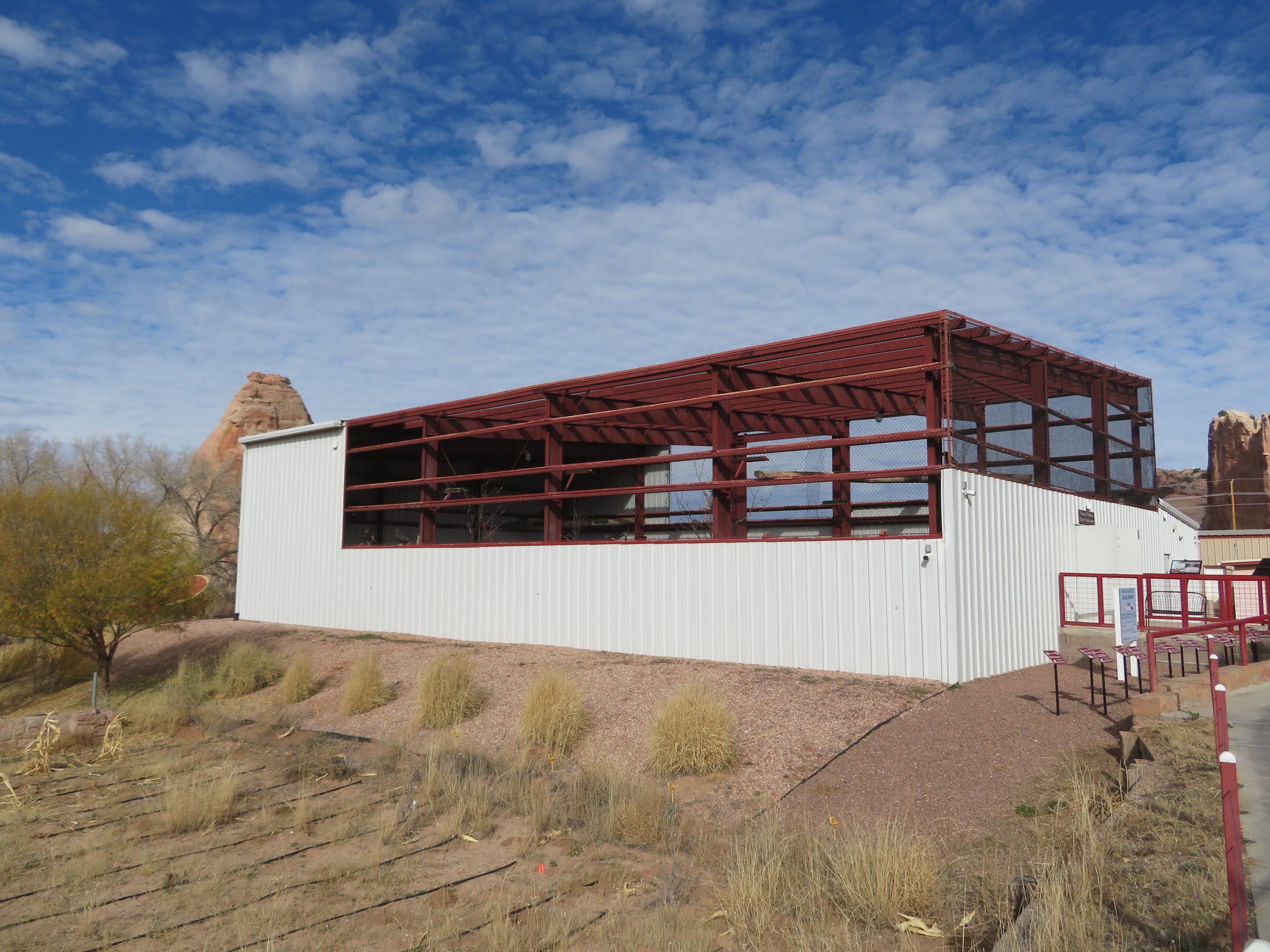 Golden Eagle Aviary