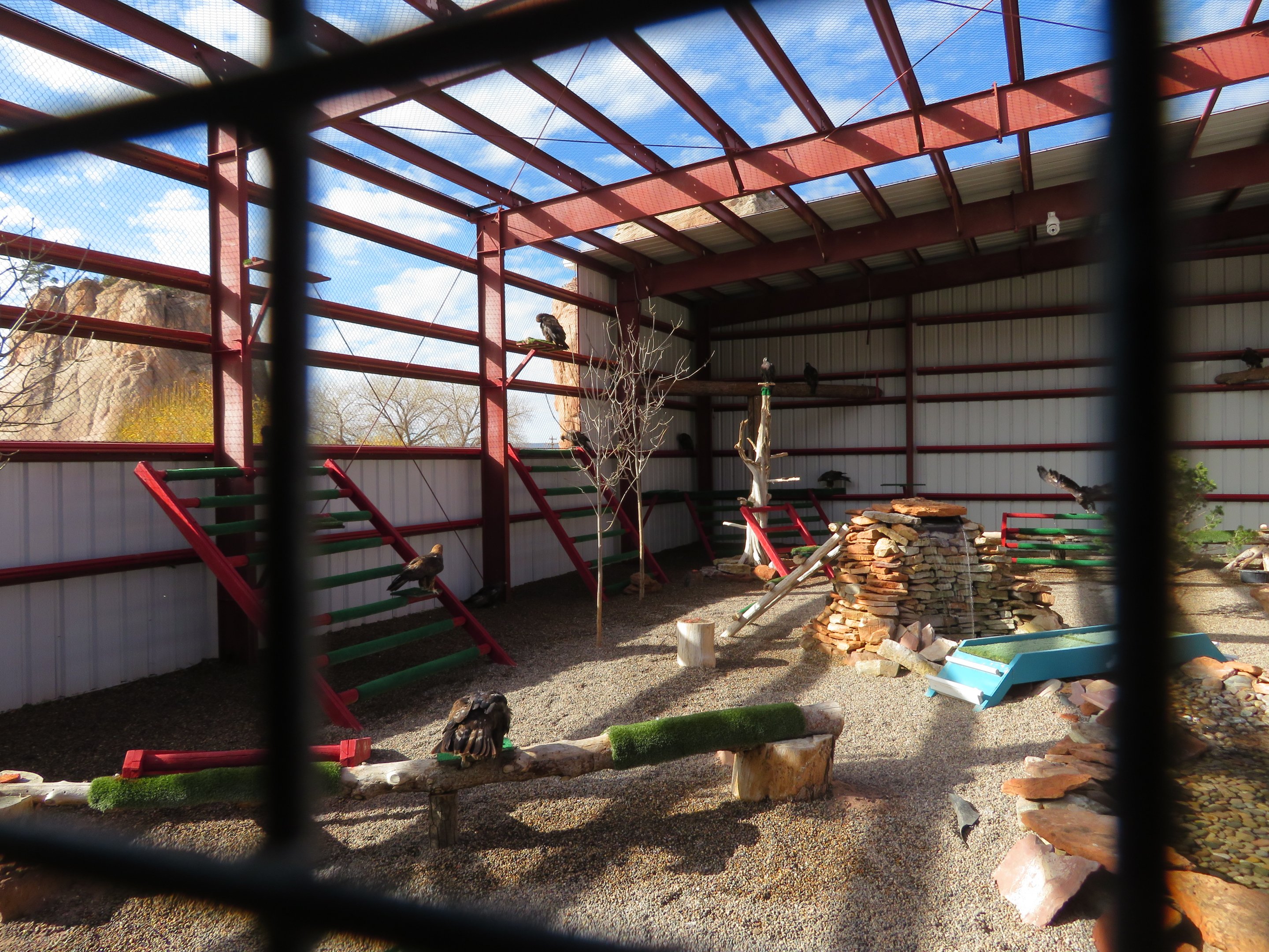 Golden Eagle Aviary