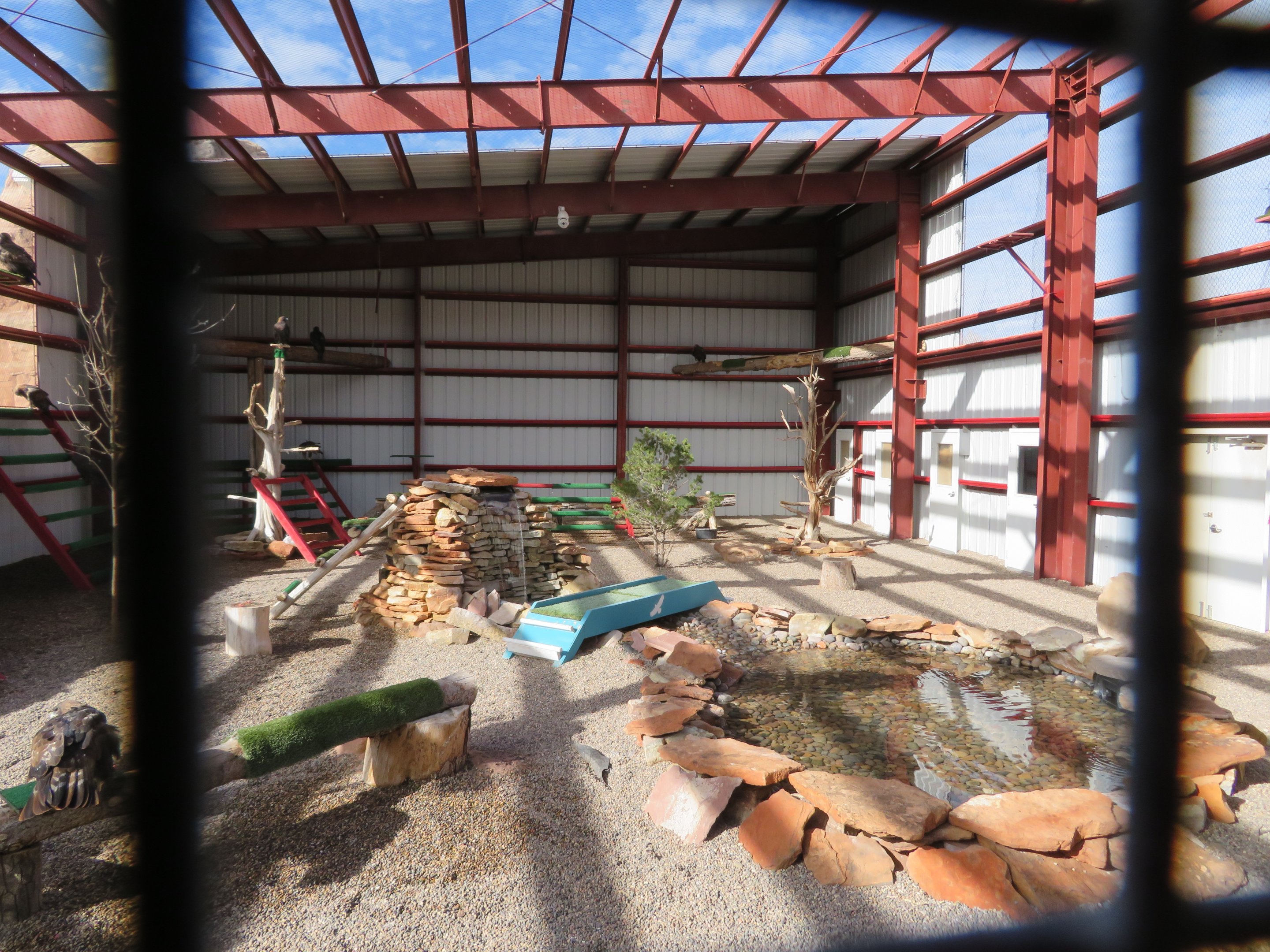 Golden Eagle Aviary