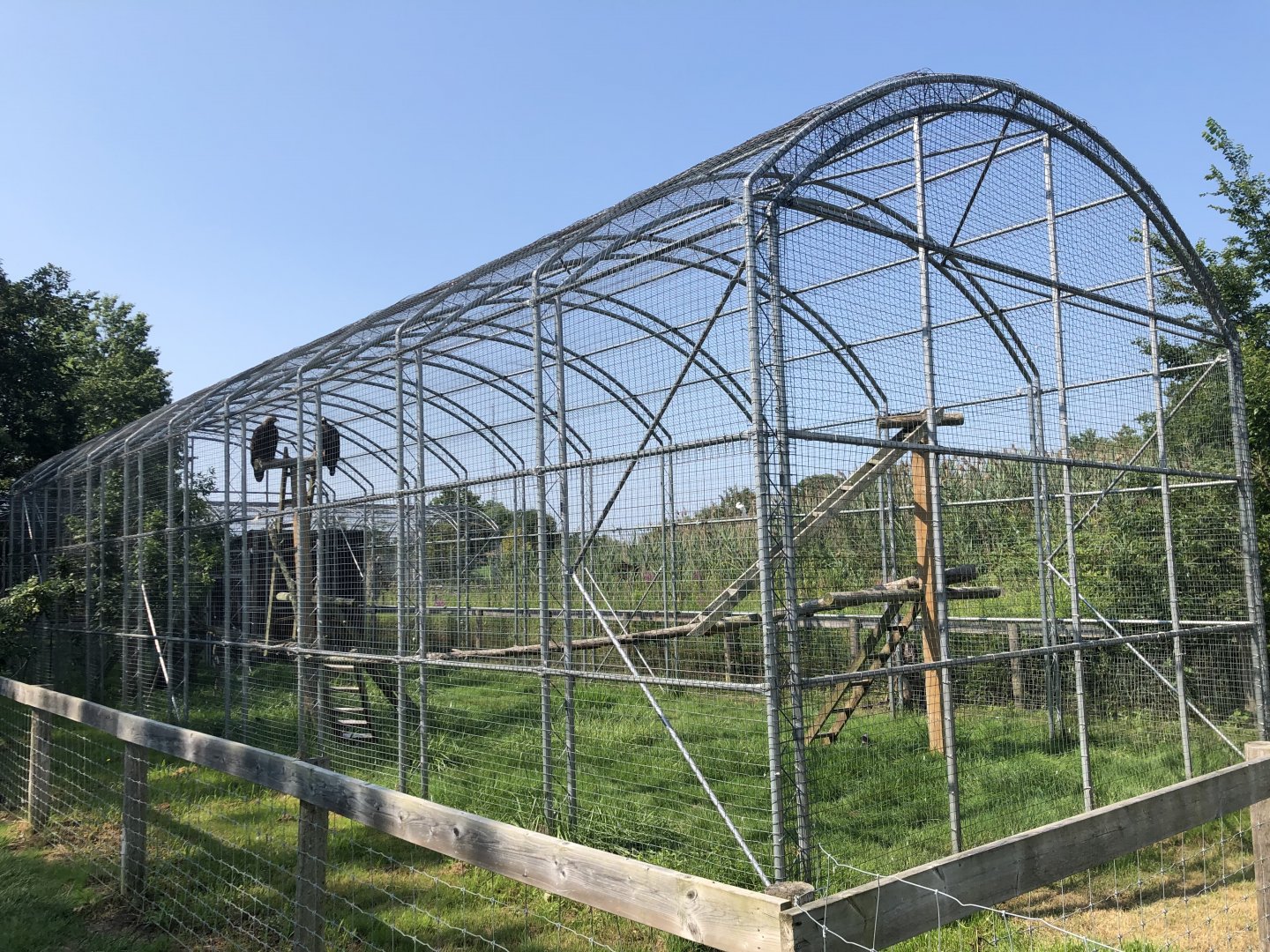 Golden Eagle Aviary