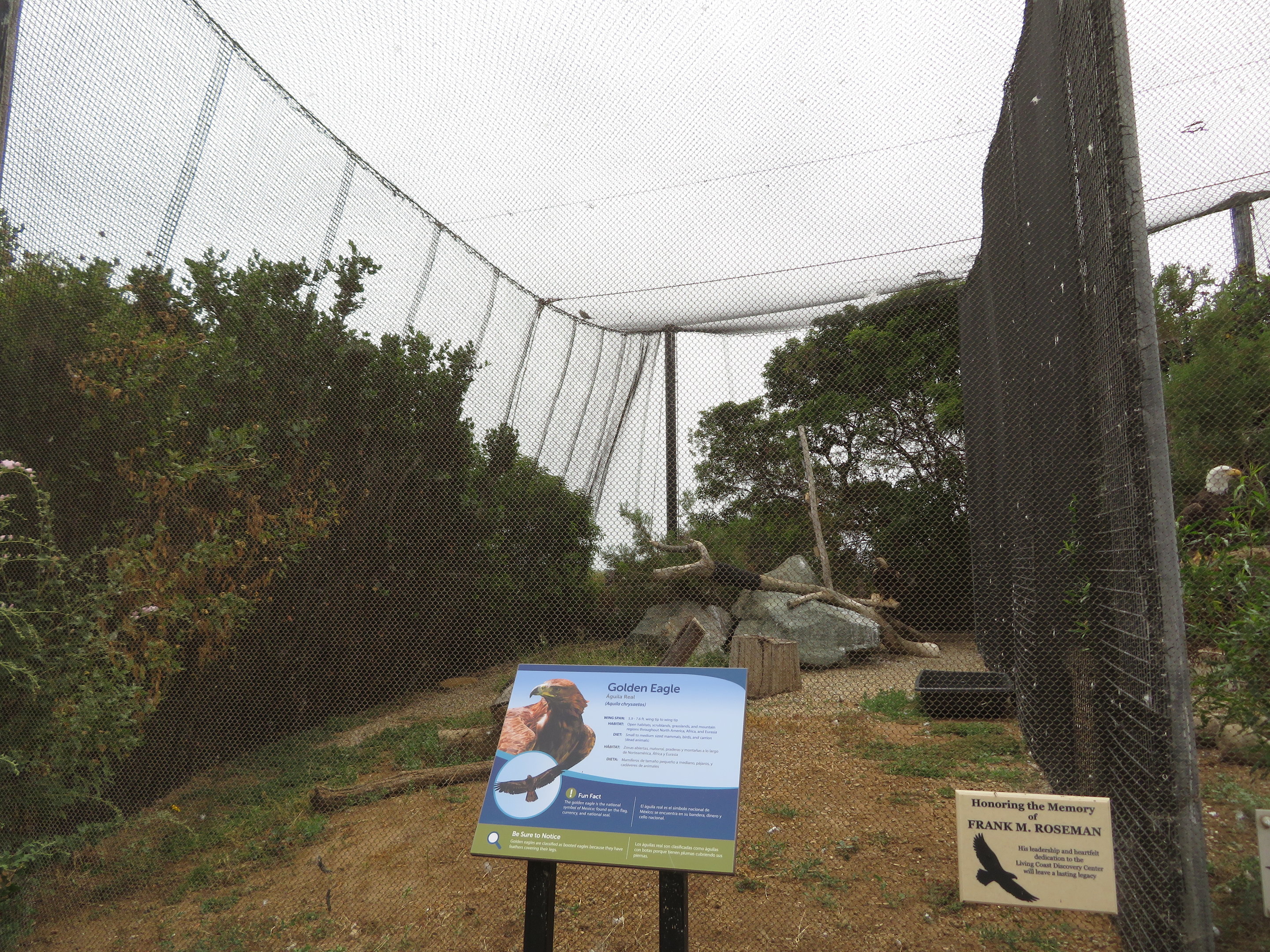 Golden Eagle Aviary