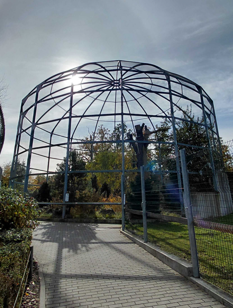 Golden eagle aviary