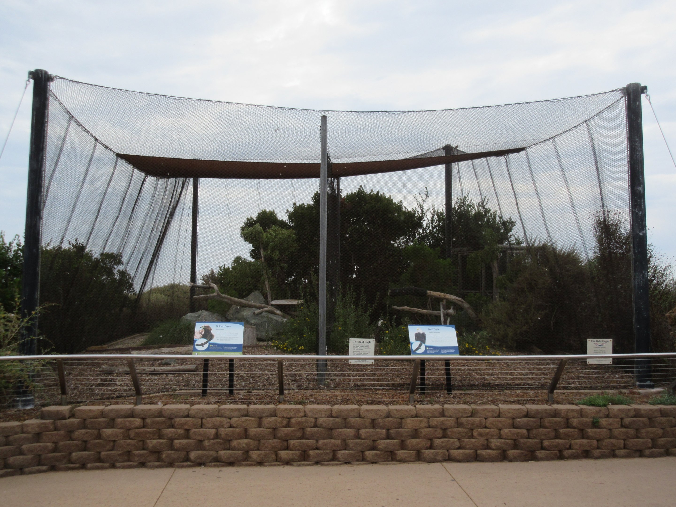 Golden Eagle + Bald Eagle Exhibits