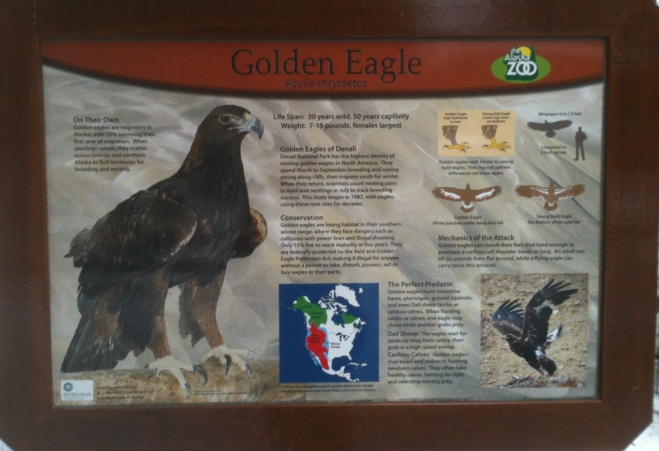 Golden Eagle Educational Sign