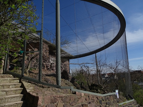 Golden eagle enclosure (04/22)