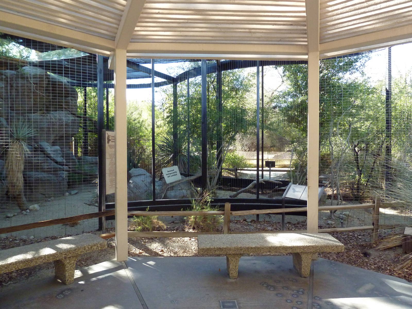 Golden Eagle Exhibit