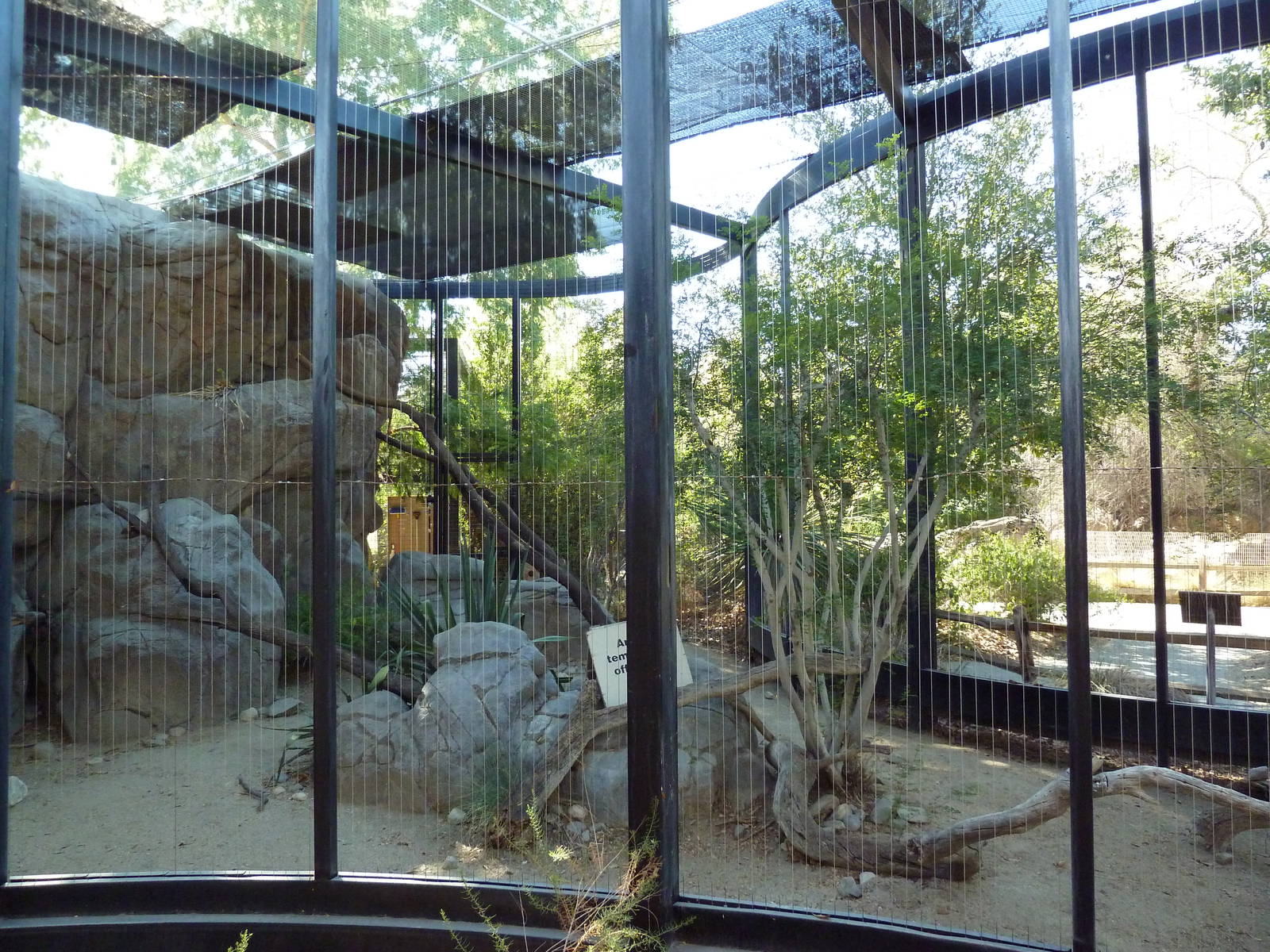 Golden Eagle Exhibit