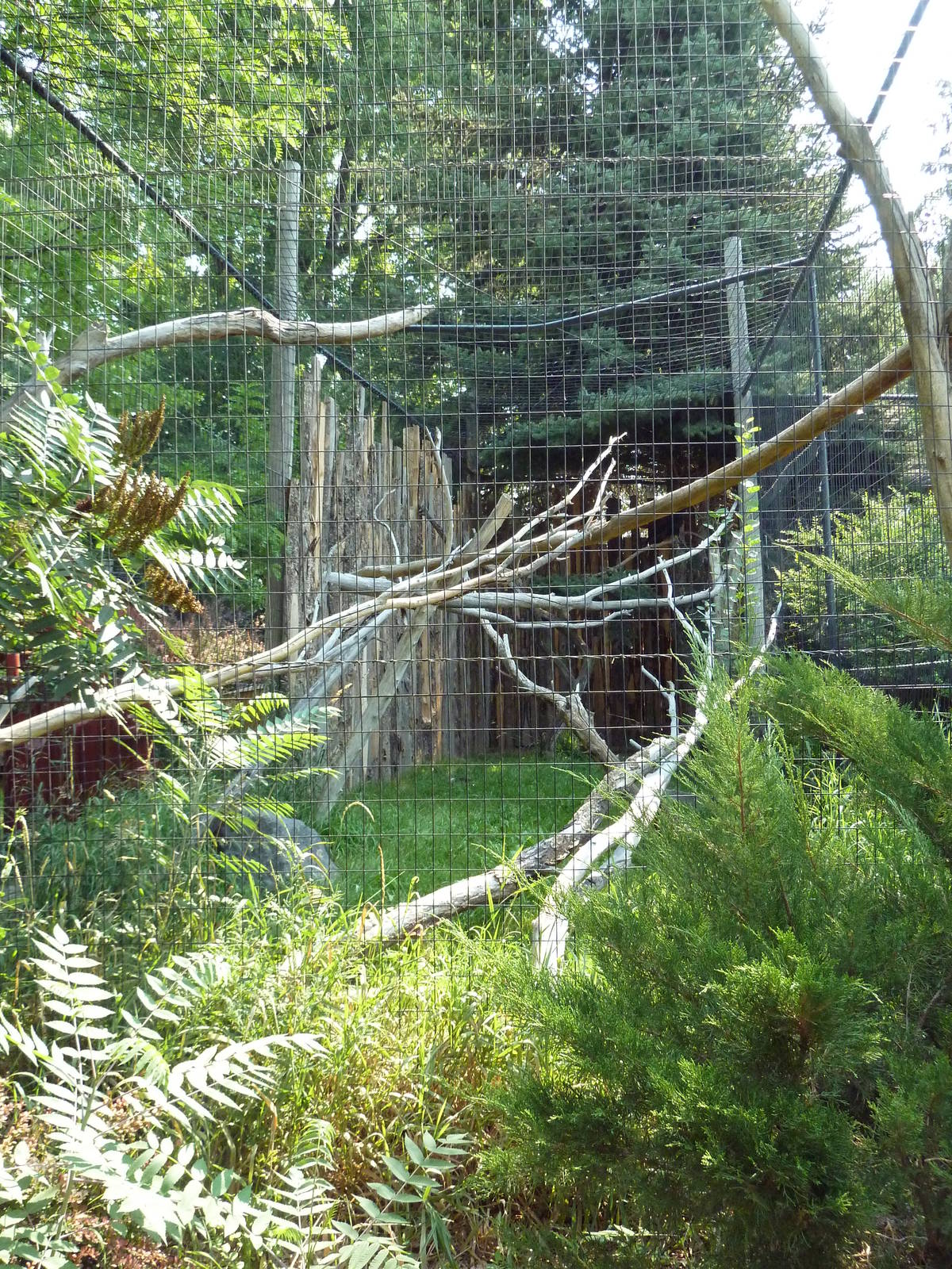 Golden Eagle Exhibit