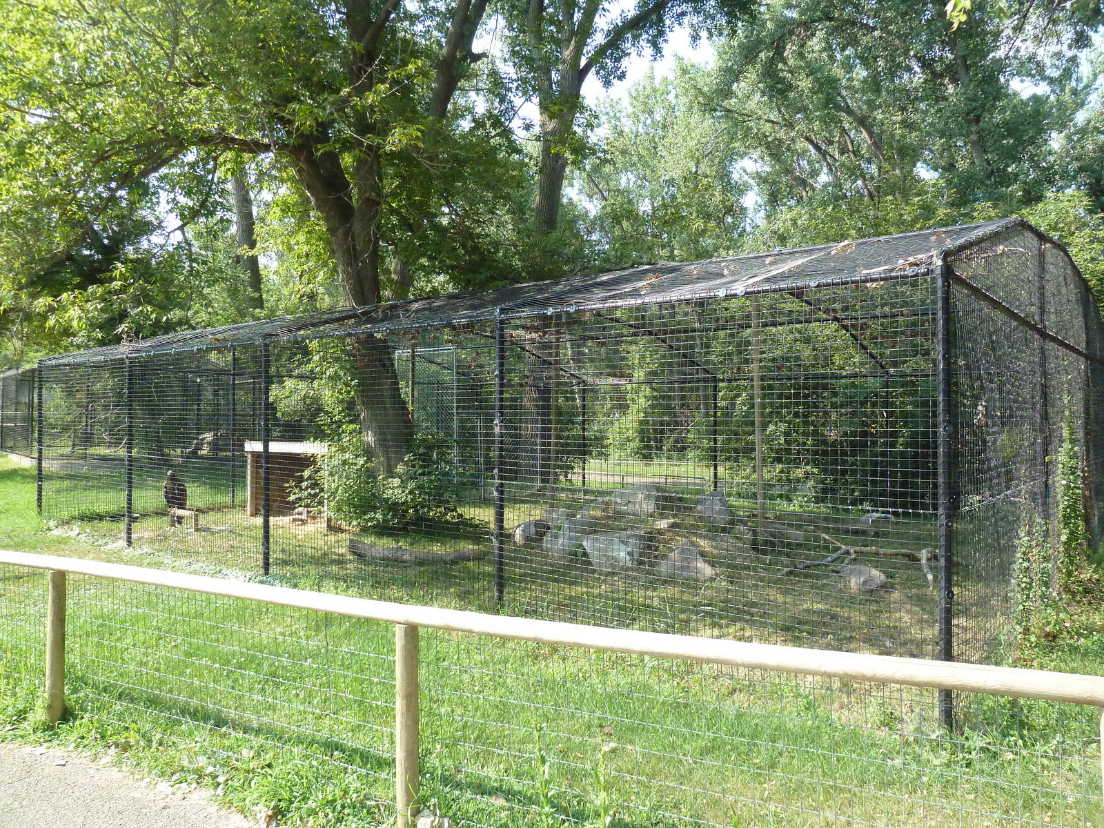 Golden Eagle Exhibit
