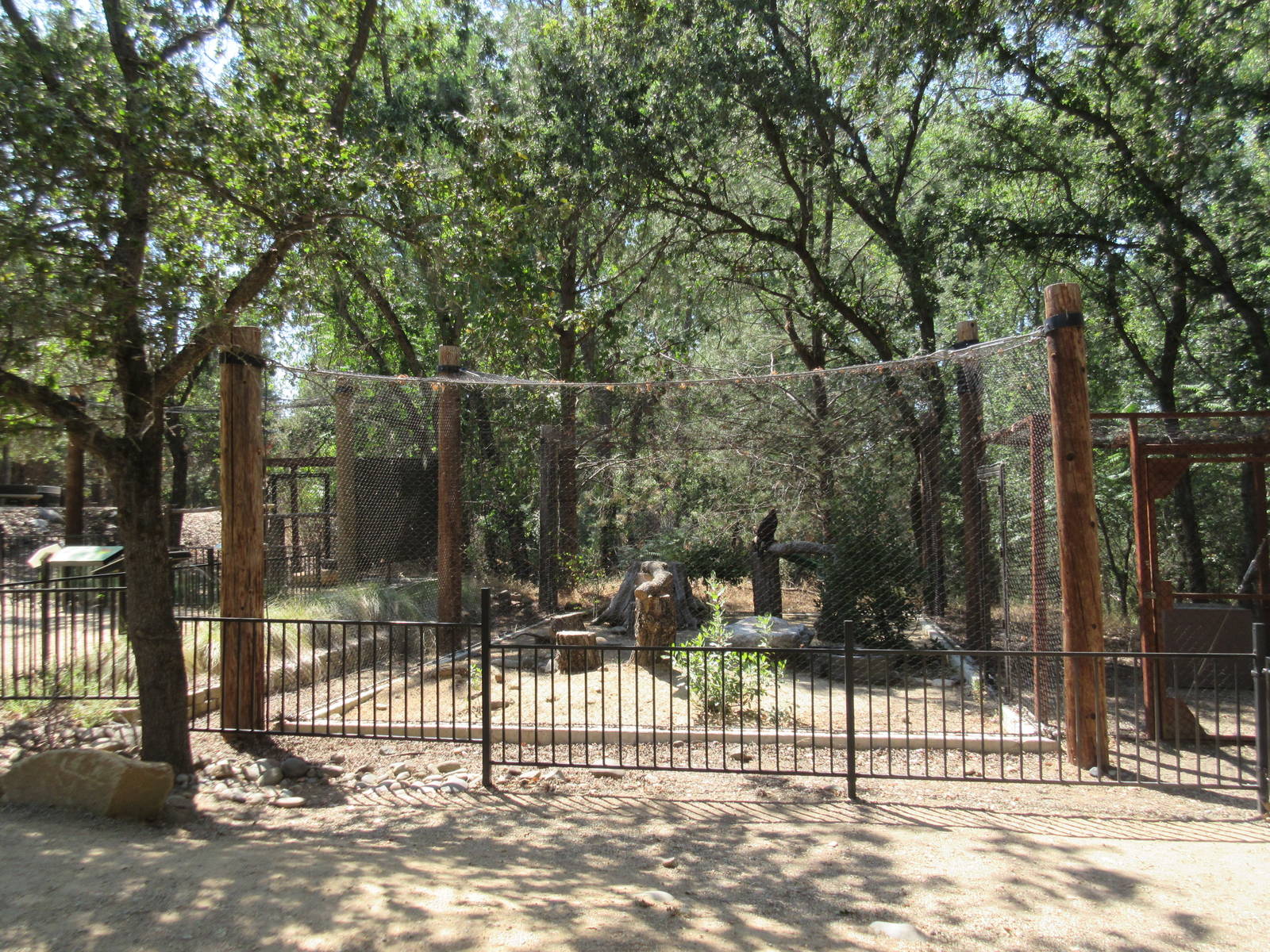 Golden Eagle Exhibit