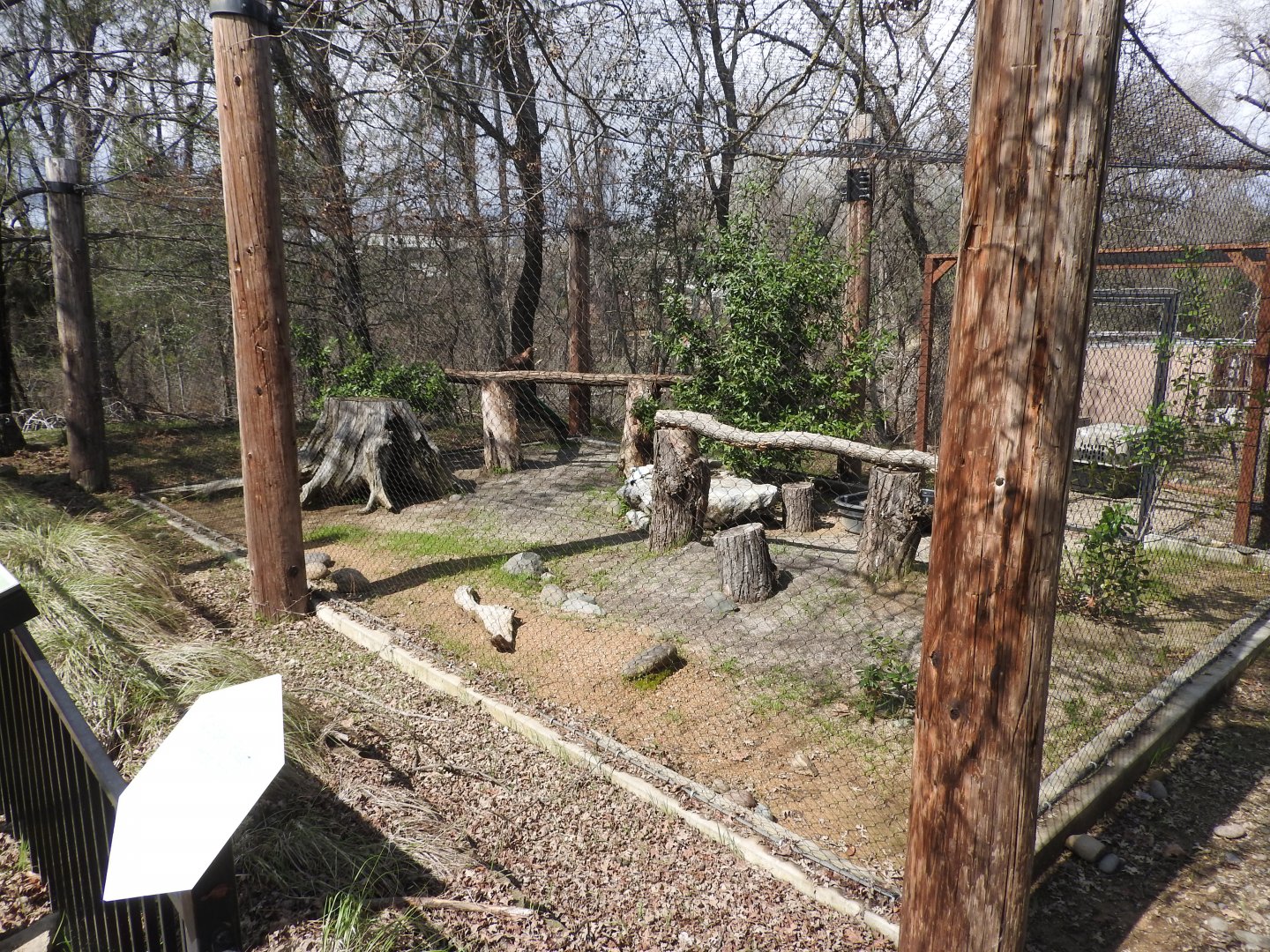 Golden Eagle Exhibit