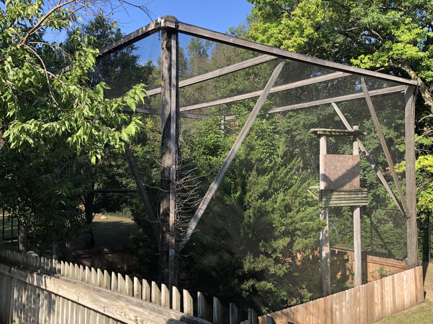 Golden Eagle Exhibit
