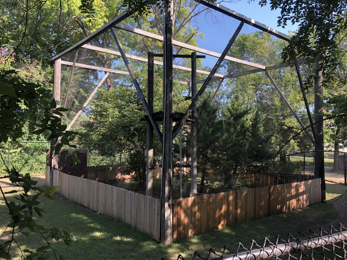 Golden Eagle Exhibit